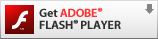 FlashPlayer